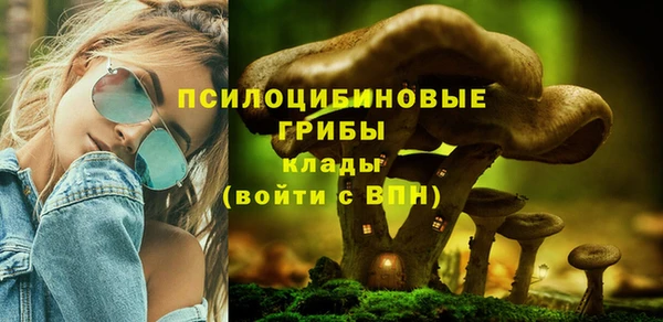 меф Дмитровск
